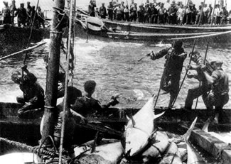 La almadraba de Zahara