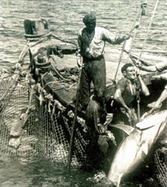 Historia de la almadraba de Zahara de los Atunes