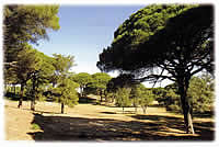 Parque Natural de Barbate