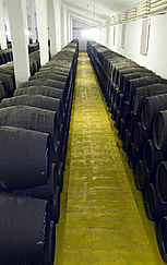 Bodegas de Jerez