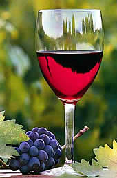 Visitar bodegas desde Zahara