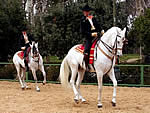 Escuela de arte ecuestre de Jerez
