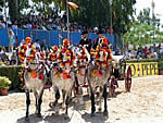 Carruajes con caballos de Jerez