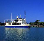 Paseo fluvial por doñana